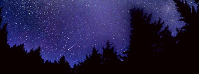How to see the 2020 Perseid Meteor Shower